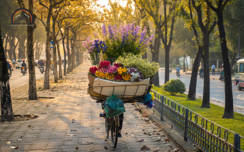 Overview of autumn in Hanoi