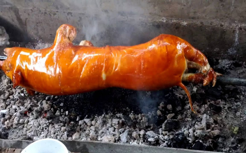 Lợn Cắp Nách