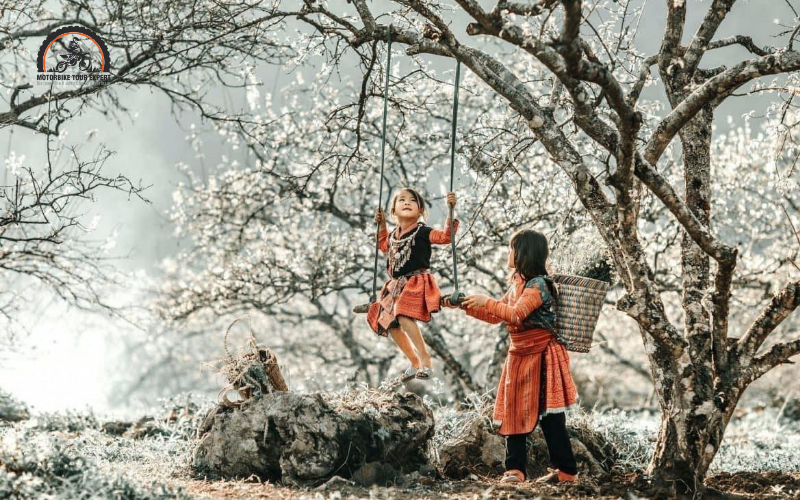 Winter in Vietnam starts late November and lasts until the end of February