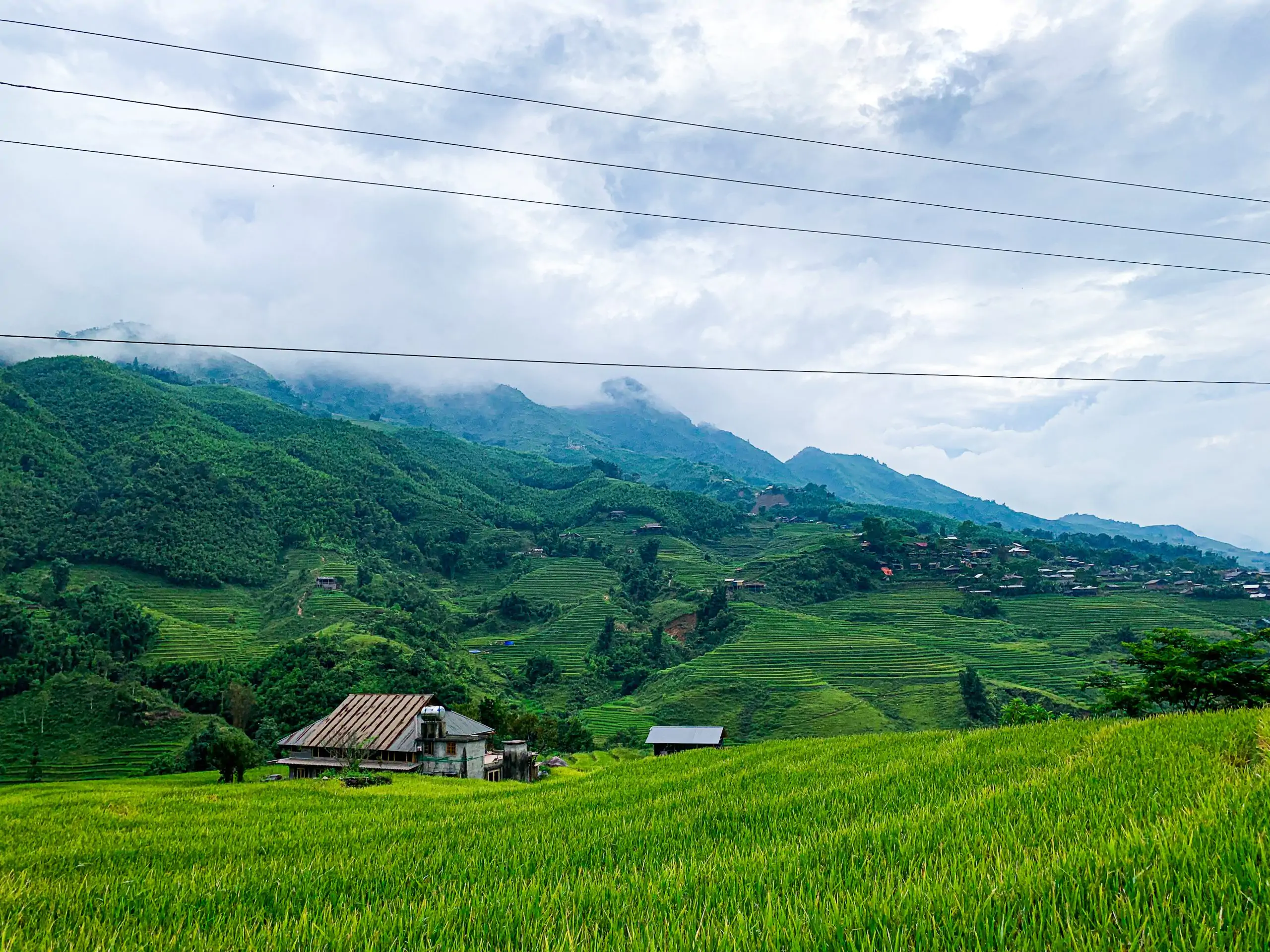 Ta Van Village, Sapa: Complete Travel Guide and Local Insights