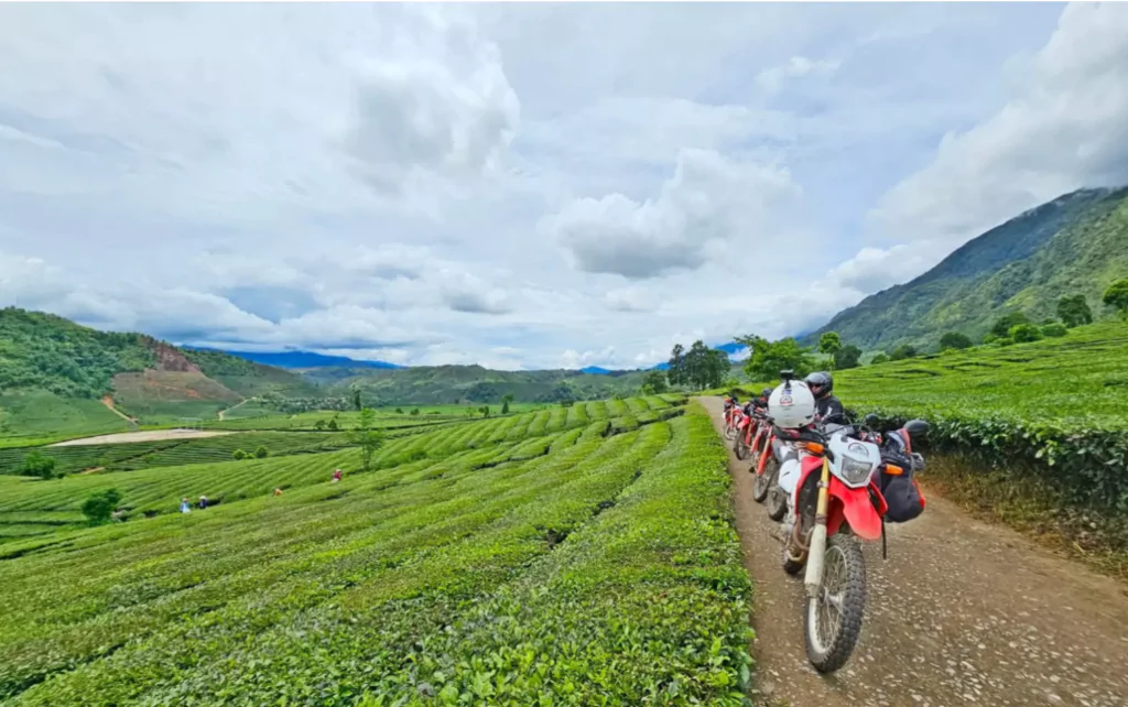 Booking flexibility and availability differ between group departures and private itineraries